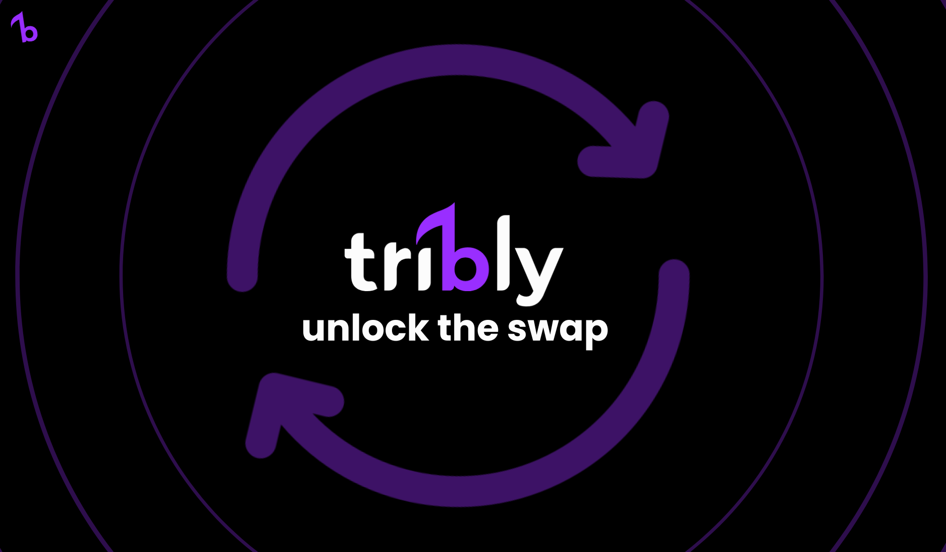 Tribly music marketing platform for artists